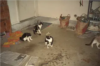 small_9400 0662 cew family etcIMG0080.webp